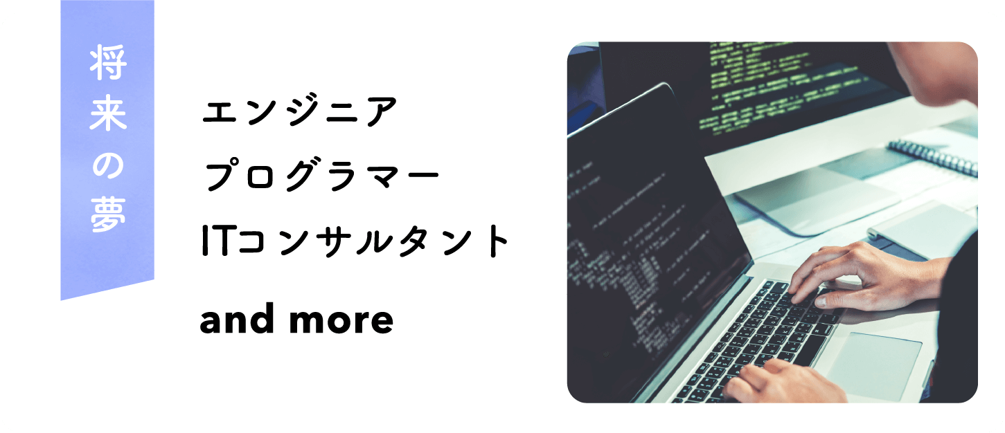 エンジニア プログラマー ITコンサルタント