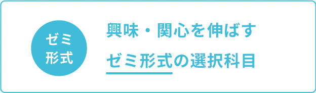 ゼミ形式